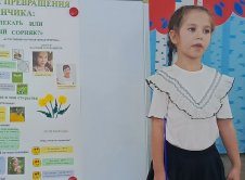 img (15)
